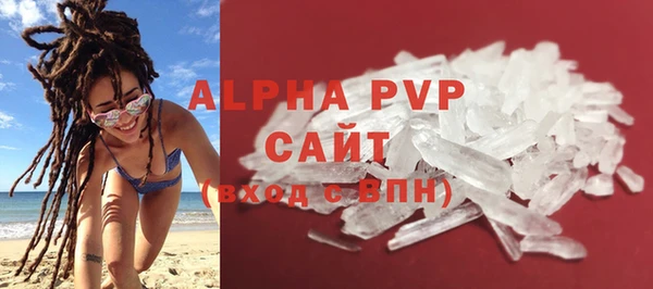 индика Волоколамск