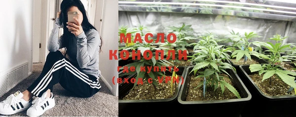 индика Волоколамск