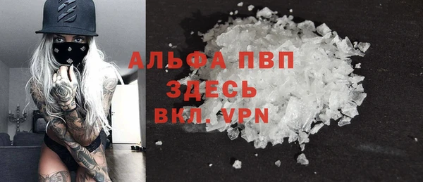 индика Волоколамск