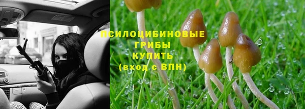 индика Волоколамск