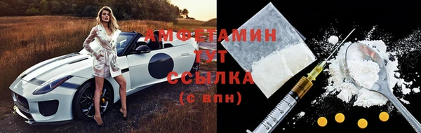 индика Волоколамск