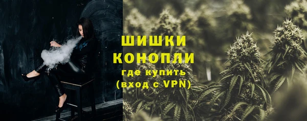 индика Волоколамск